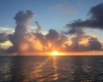 Walk to Best Eats and Shops and Stay in Style - Fort Myers