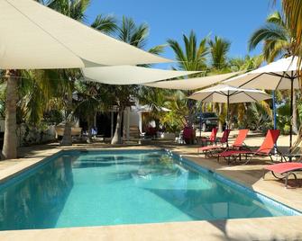 Casa Carolina's A Beautiful Beach House Surrounded By Palm Trees & Flowers - La Ventana - Bazén