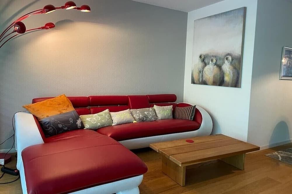 2 Bedroom apartment in upscale Zurich area - ציריך - סלון