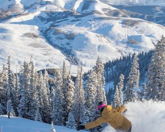 Mountain Views From This Plaza Condo - Sleeps 6 Condo - Crested Butte