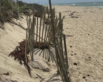 Cozy, Studio Apartment just Outside of Nantucket Town - Nantucket - Beach