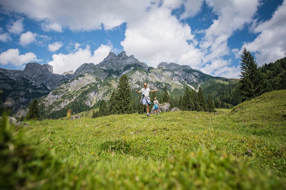 Apart Hotel Alpenhof Werfenweng - Werfenweng
