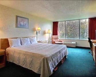 Airport Inn Flint - Flint - Chambre
