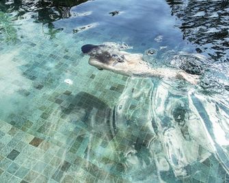 S`ekar Pinang Langkawi - Pantai Cenang