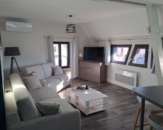 Appartement 3 pièces tout confort, Aux Portes de Colmar - Andolsheim - Sala de estar