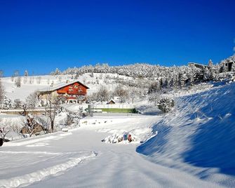 Logis Hotel Les Playes - Villard-de-Lans