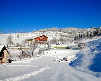 Logis Hotel Les Playes - Villard-de-Lans