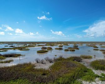 Birds on the Bay - Rockport - Outdoor view