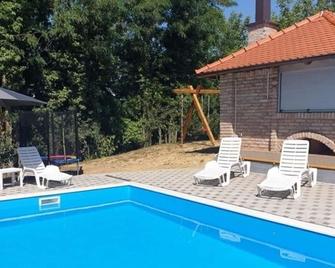 Family friendly house with a swimming pool Marija Bistrica, Zagorje - 21735 - Marija Bistrica - Pool