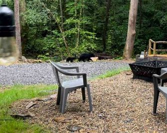 The Perch Glamping By Rafting - Cosby - Patio