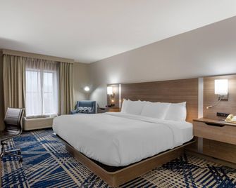 Comfort Inn and Suites Hot Springs Midtown - Hot Springs - Bedroom