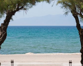 The Wave - Sidari - Playa