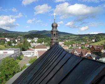Previt Janek - Rokytnice nad Jizerou