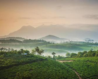 Grassroots Wayanad, Valley-view Tents - Tariyode
