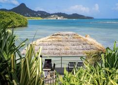 Secluded romantic getaway with the turquoise Caribbean sea just steps away. - Carriacou - Outdoor view