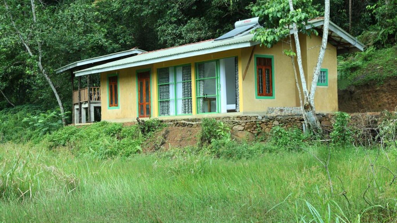 Sinharaja Forest Edge