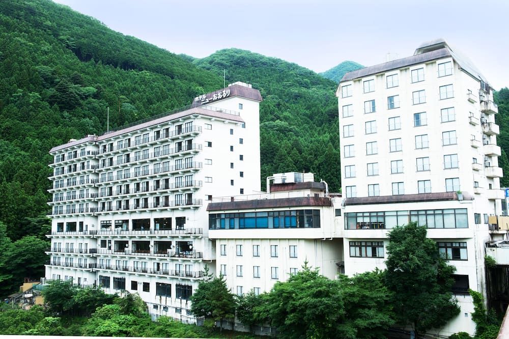 Hotel New Ohruri - ניקו - בניין