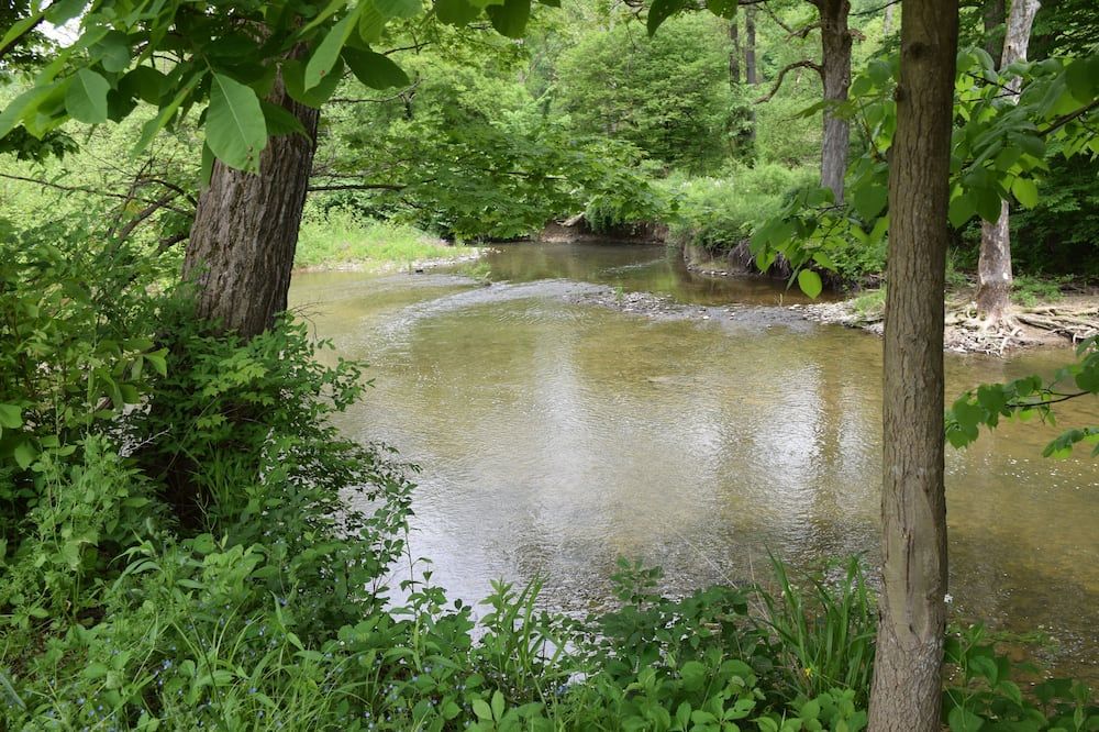 Peyper Fields Creekside Camp - Newark Valley - Vista del exterior