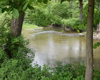 Peyper Fields Creekside Camp - Newark Valley - Outdoor view