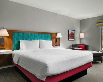 Hampton Inn Chicopee/Springfield - Chicopee - Schlafzimmer