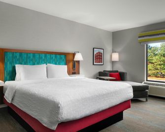 Hampton Inn Chicopee/Springfield - Chicopee - Schlafzimmer