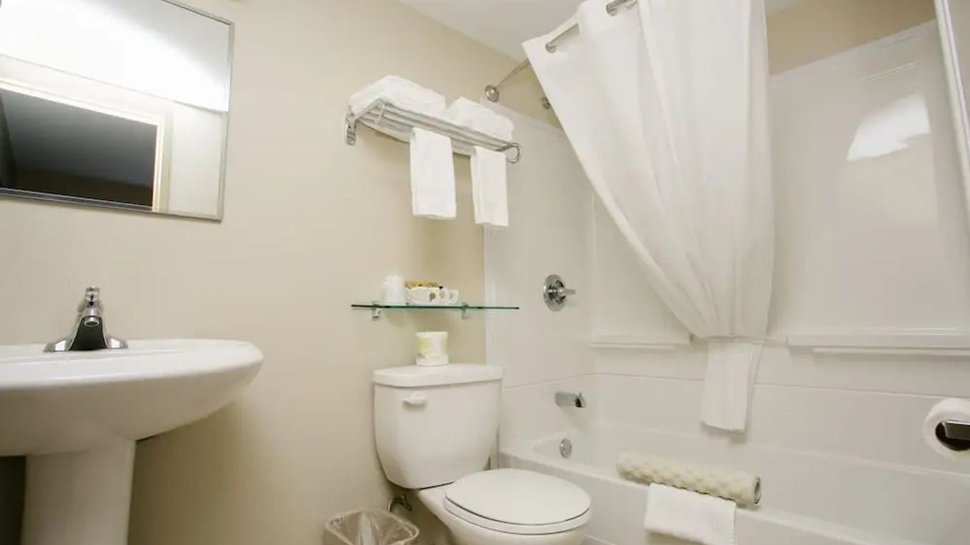 The Sleepy Owl Hotel