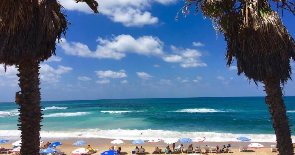 تريستي نيفي تزيديك بوتيك سويتس