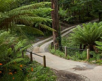 The Fernglen Forest Retreat - Mount Dandenong - Außenansicht