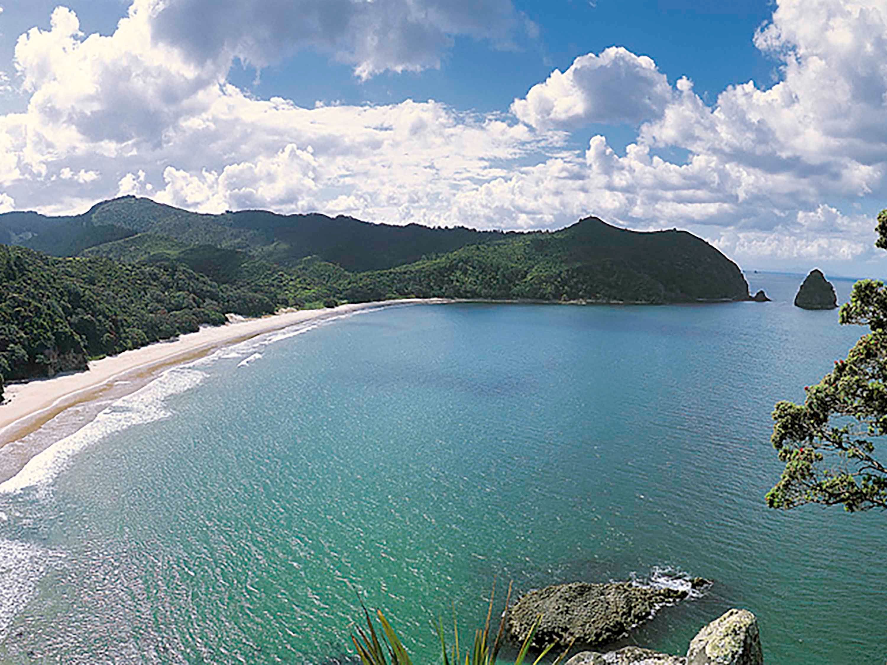 جراند ميركيور بوكا بارك ريزورت