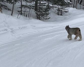 Alaskan Adventure Awaits! - Eagle River - Property amenity