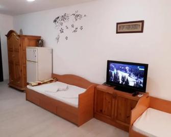 Ruse Central Studio - Ruse