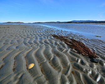 Comfortable 2 bedroom 2 bathroom cottage. Pet friendly! - Parksville - Beach