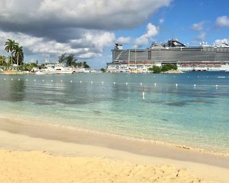 Castle by the Shore - Ocho Rios