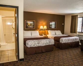 Americas Best Value Inn & Suites Detroit Lakes - Detroit Lakes - Bedroom