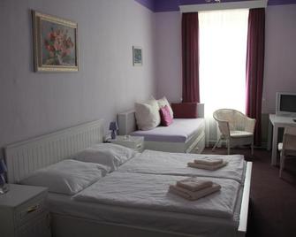 Penzion U Lucerny - Jindřichův Hradec - Habitación