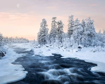 Wilderness Hotel Inari & Igloos - Inari