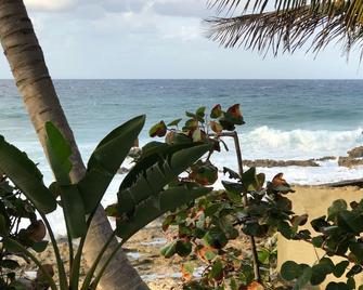 St.Croix, USVI- Cane Bay - Vacation with us! Cottage on the Sea!! - Kingshill - Beach