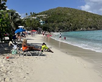 Modern oasis loaded w/amenities! 5-8 mins to the beaches, shops dining & ferries - Saint Thomas Island - Beach