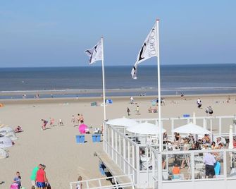 Apartment in Bergen aan Zee near the Beach - Bergen aan Zee - Beach