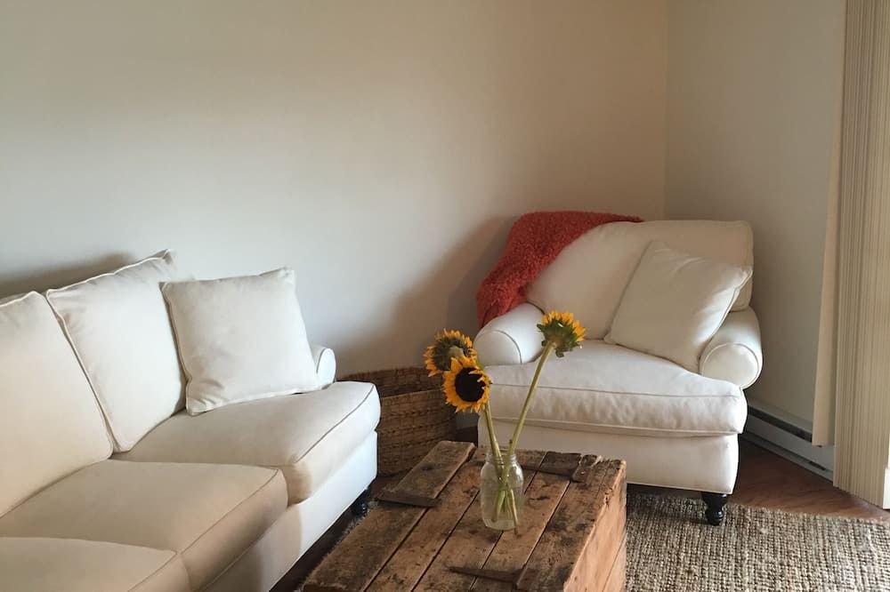 Metrowest Nest -- A Cozy 1 bedroom condo + parking near commuter rail