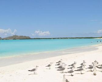 Posada Guaripete - El Roque - Playa