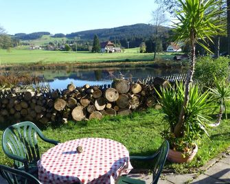 Hotel Und Restaurant Muehlencafe - Breitnau - Patio