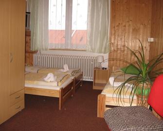 Penzion Vysocina - Žďár nad Sázavou - Habitación