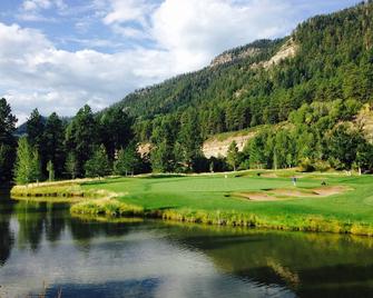 Tamarron Pinecone 846 - Durango