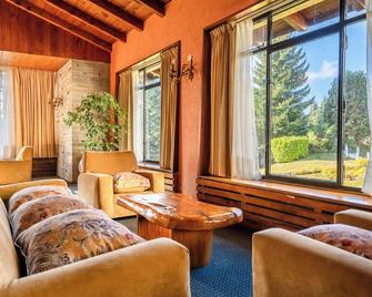 جران هوتل بانآمريكانو - سان كارلوس دي باريلوتش - غرفة معيشة