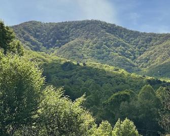 Farm Life! The Rosemary Cabin at Bluff Mountain Nursery - Hot Springs - Outdoors view