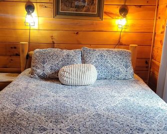 Modern cabin, large interior space, sleeps 6. - Sebec - Bedroom
