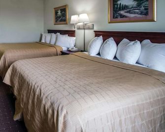 Quality Inn Harrisburg - Harrisburg - Bedroom