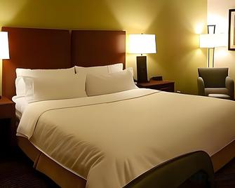Holiday Inn Express & Suites Lancaster - Lancaster - Habitación
