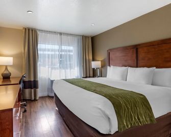 Comfort Inn Bishop - Bishop - Bedroom